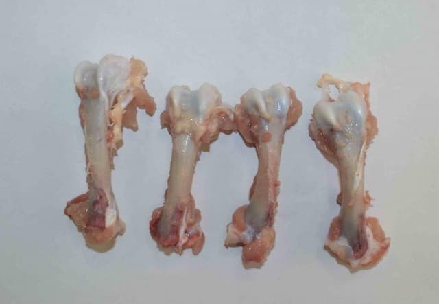 Набор пищевых костей - кости трубчатые (БП) зам.