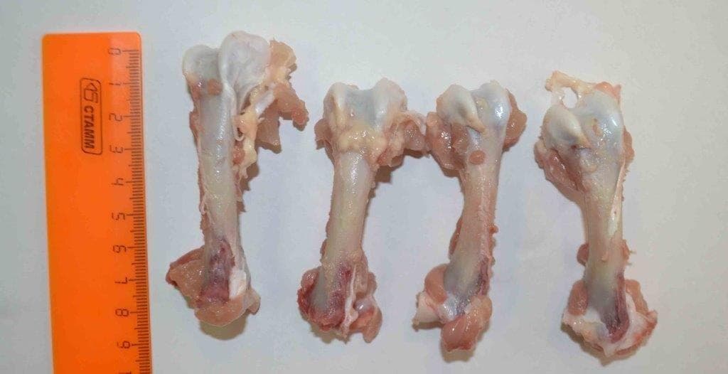 Превью товара Набор пищевых костей - кости трубчатые (БП) зам. #2