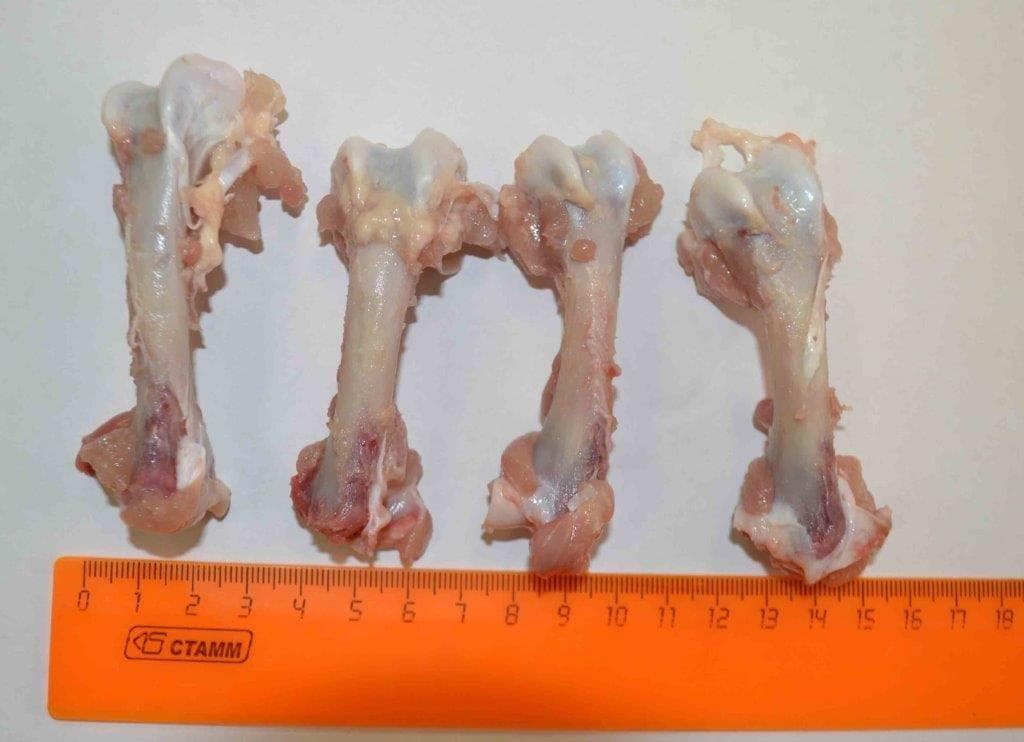 Превью товара Набор пищевых костей - кости трубчатые (БП) зам. #5