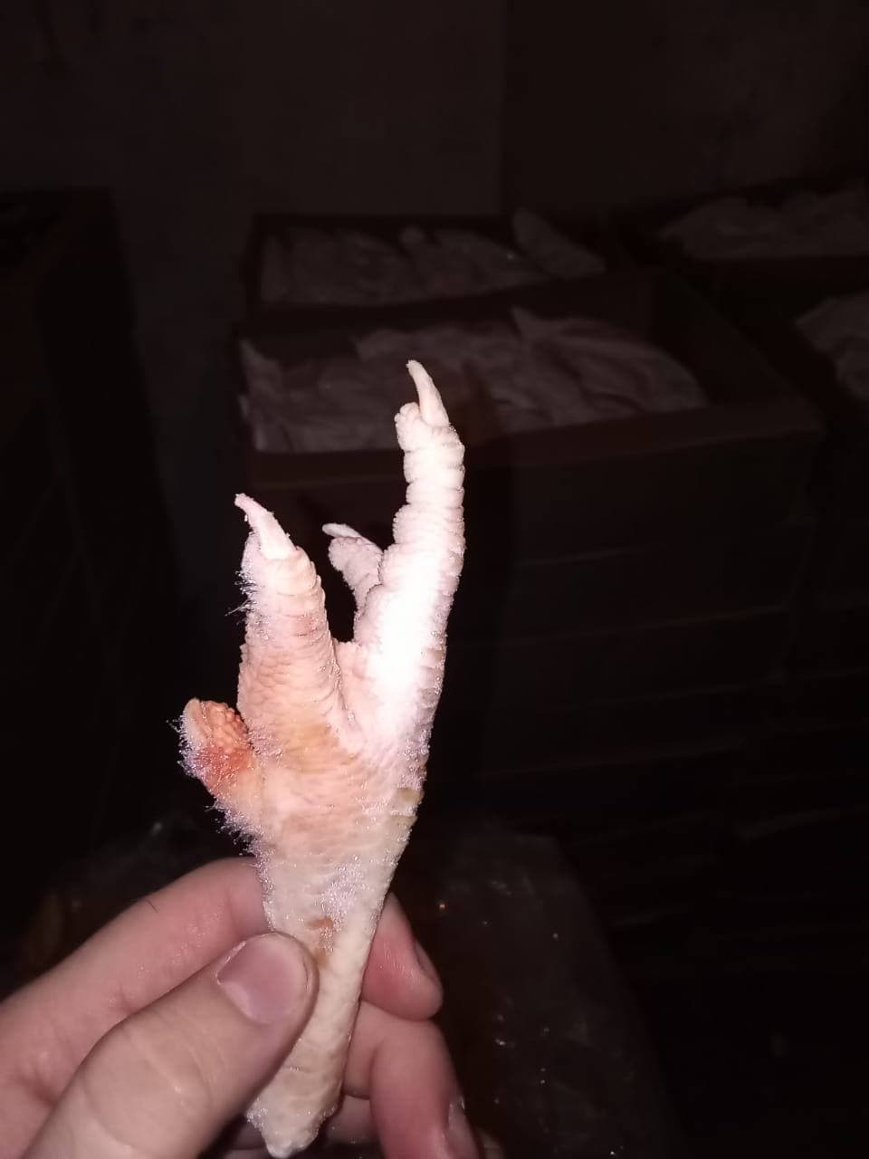 Превью товара Ноги (тушки кур) (пакет) зам НКР #1