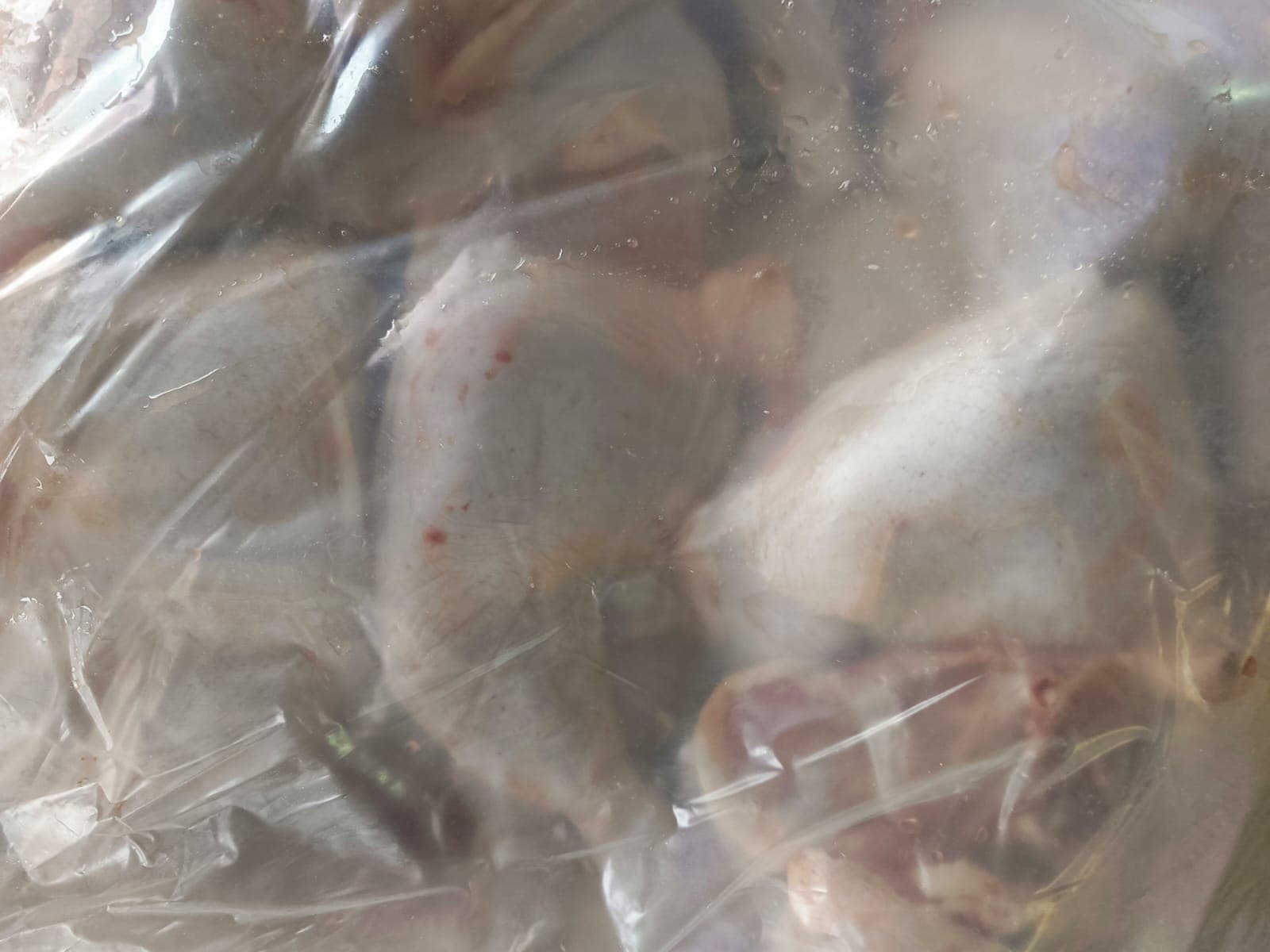 Превью товара Окорочок для жарения (БП) охл. #1