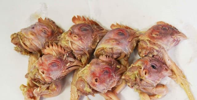 Головы ЦБ 1 кг зам.